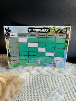 Tunniplaan